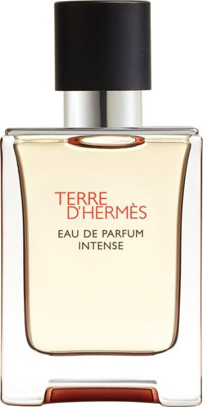 Hermès Terre D'Hermès Eau De Parfum Intense Spray 50 Ml