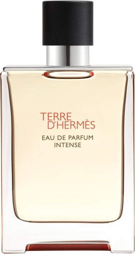 Hermès Terre D'Hermès Eau De Parfum Intense Spray 100 Ml