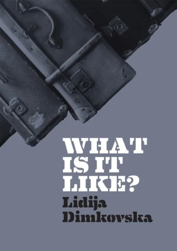 What Is It Like? av Lidija Dimkovska