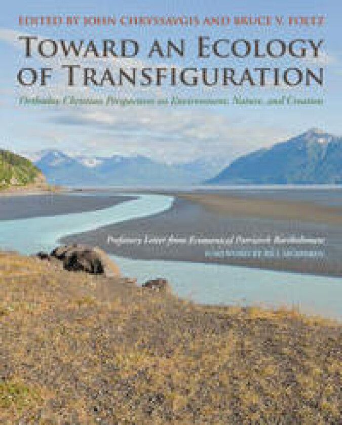 Toward an Ecology of Transfiguration