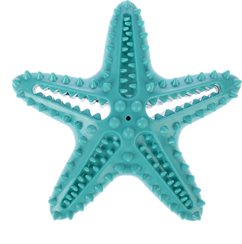 sjøstjerne hundeleketøy - L 15 x B 15 x H 5 cm