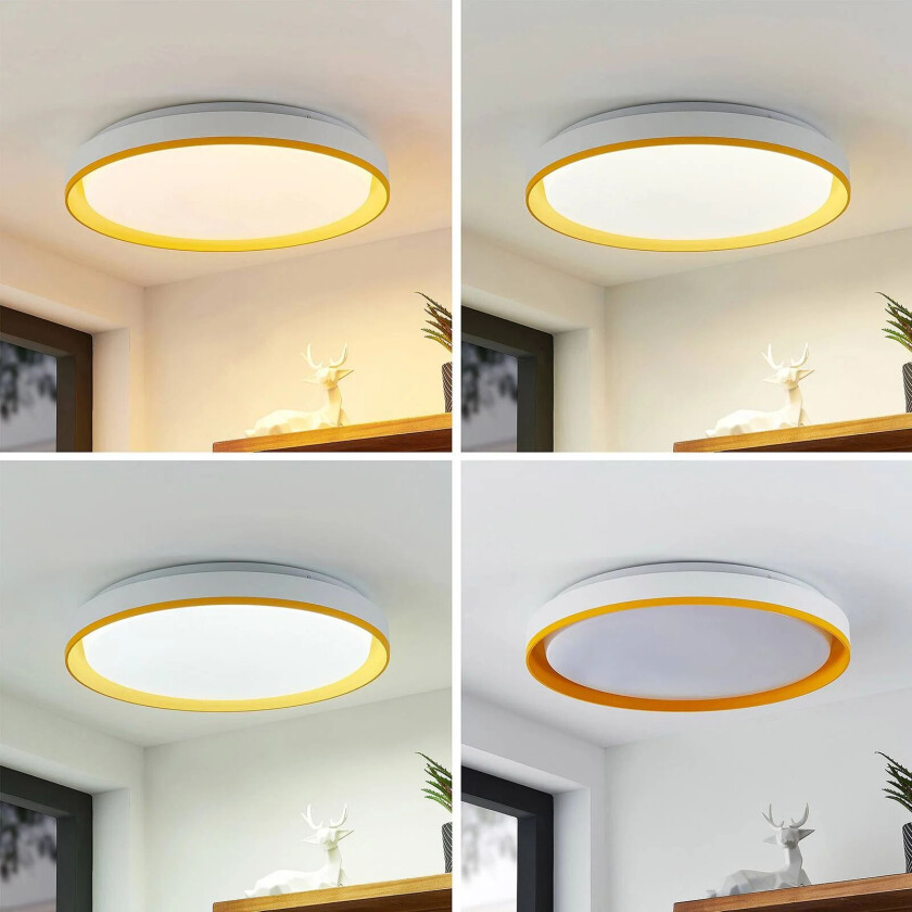 Divora LED-taklampe CCT Ø 50,5 cm
