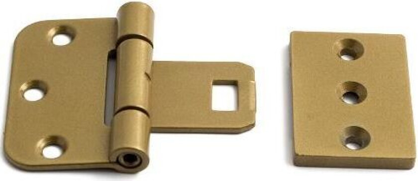 2465 Hengsel gulforsinket