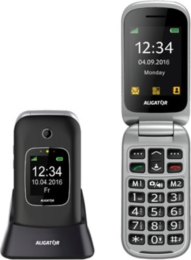 V650, Klapptelefon, Enkel Sim, 6,1 Cm (2.4"), 1,3 Mp, 1000 Mah, Svart, Sølv