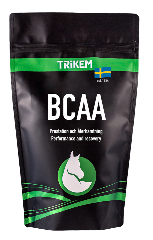 BCAA 500g