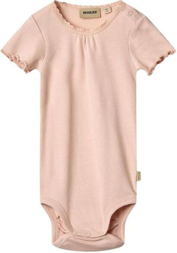 Edna rib kortermet body, powder