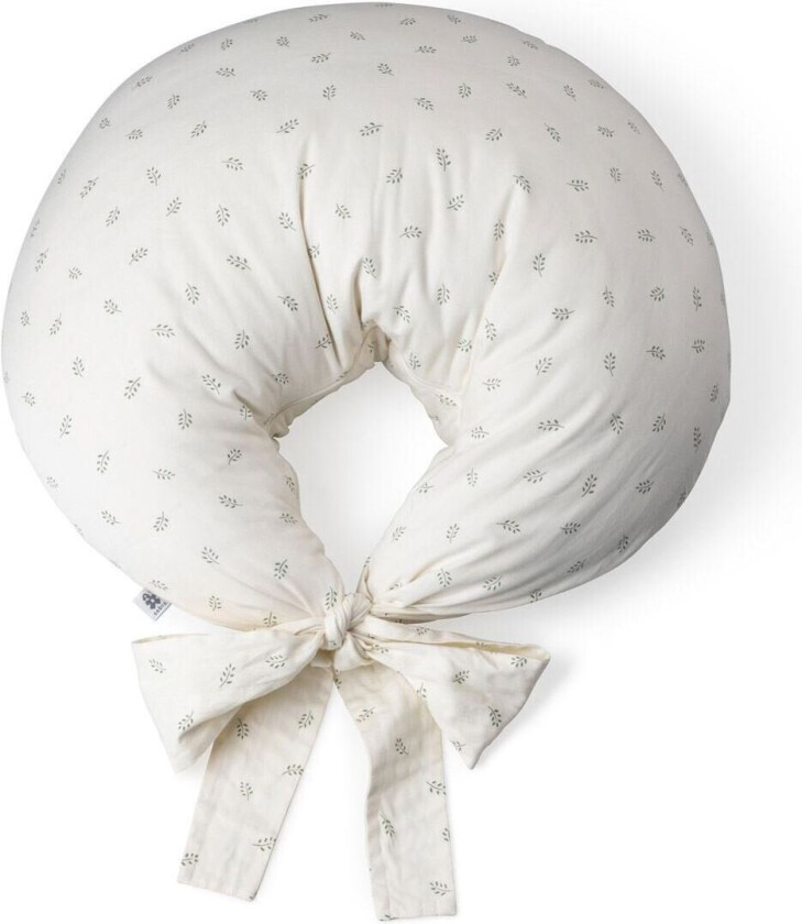 Ammepute, Økologisk, Sophora Leaves