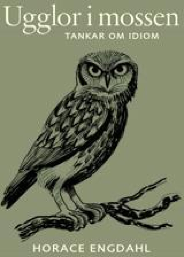 Ugglor i mossen : Tankar om idiom