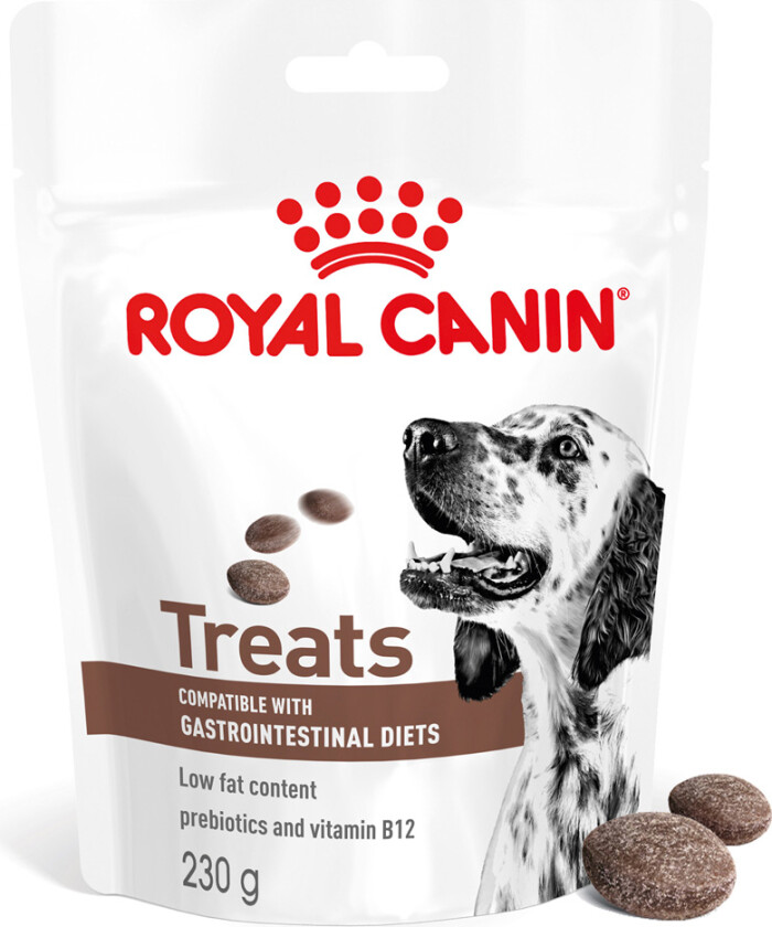 Royal Canin Gastrointestinal Snacks - 230 g