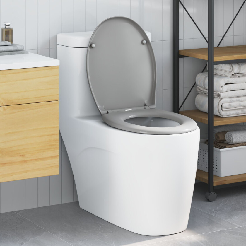 Grå Plast Standard Minimalistisk Toalettsete Oval