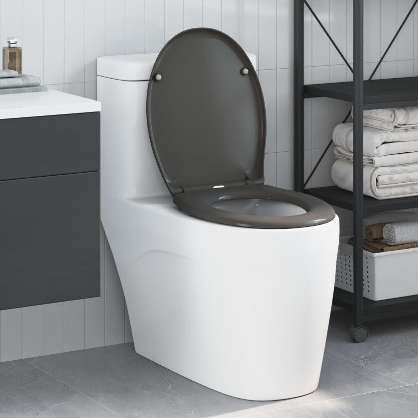 Antrasitt Duroplast Standard Toalettsete Ovalt Moderne
