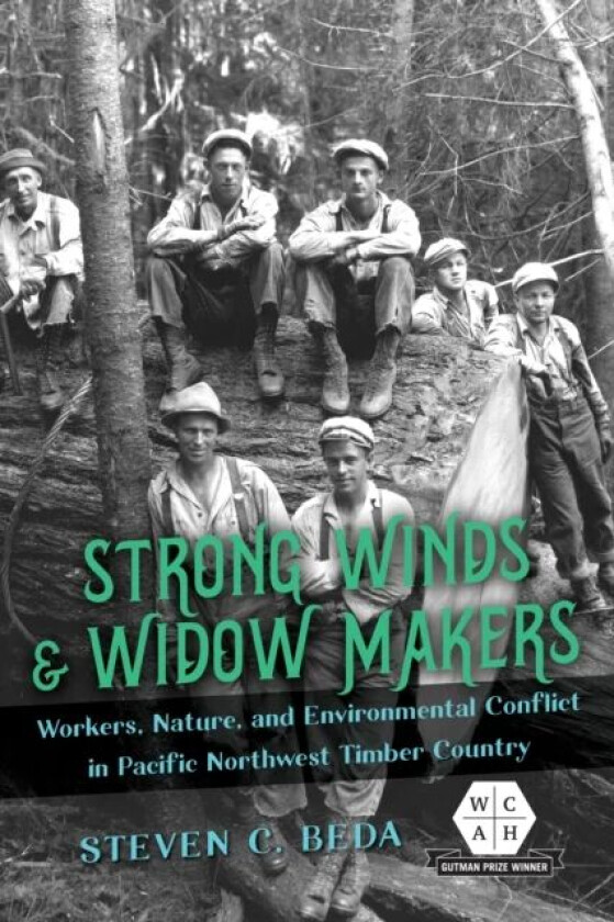 Strong Winds and Widow Makers av Steven C. Beda