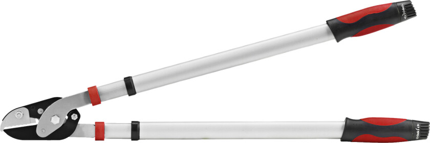 Teleskopisk grensaks