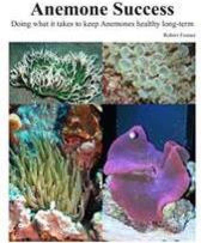 Success with Anemones: Doing What It Takes to Keep Anemones Healthy Long-Term
