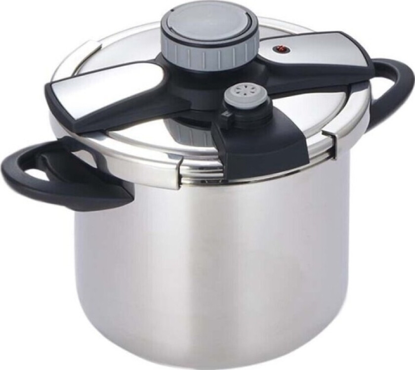 Trykkoker Zyle Zy206pcct