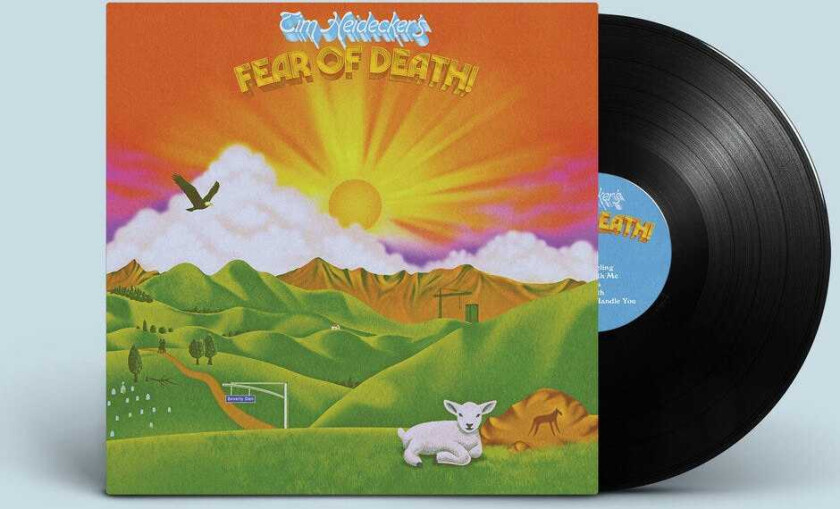 Tim Heidecker Fear Of Death LP/Vinyl