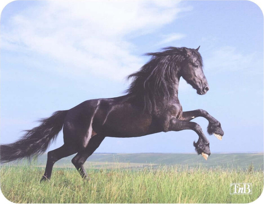 Musmatte m. Motiv - Horse