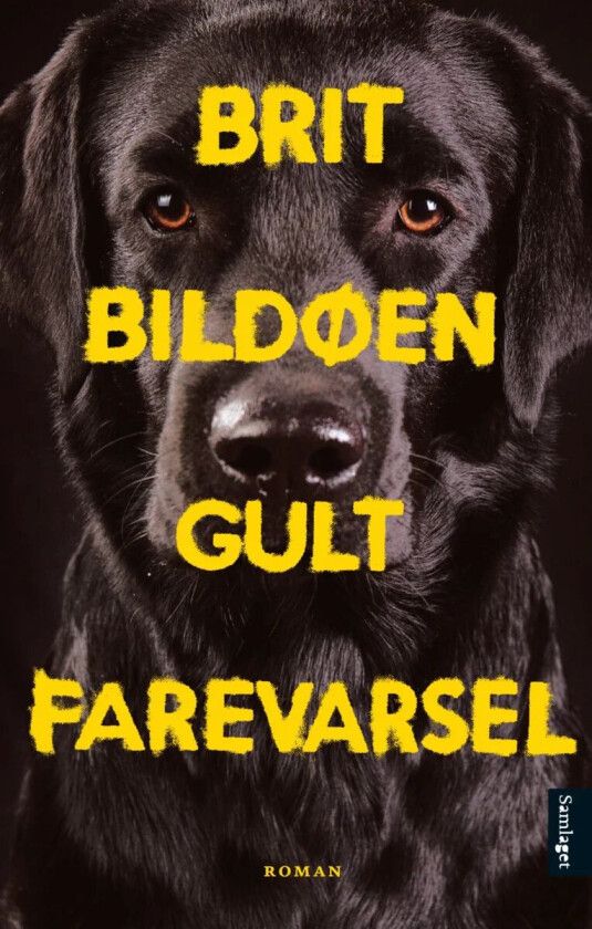 Gult farevarsel av Brit Bildøen