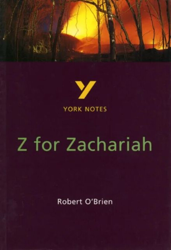 Z for Zachariah everything you need to catch up, study and prepare for and 2023 and 2024 exams and a av Paul Beadle