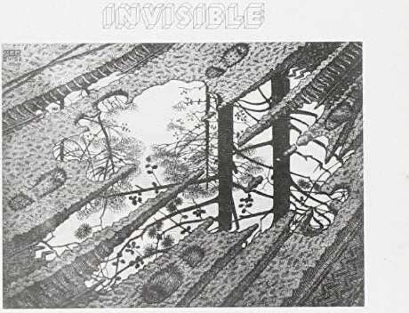 The Invisible Invisible CD