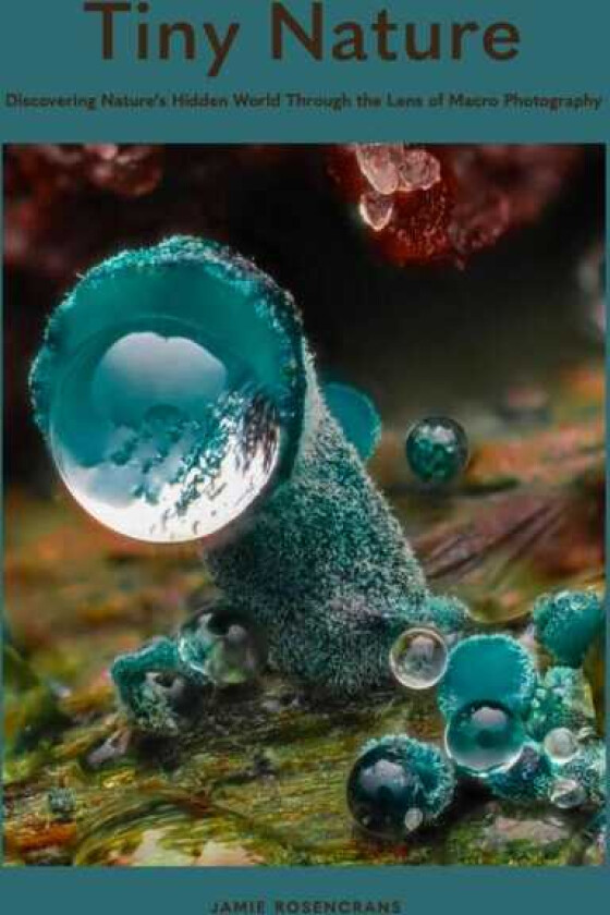 Tiny Nature Discovering Nature's Hidden World Through the Lens of Macrophotography