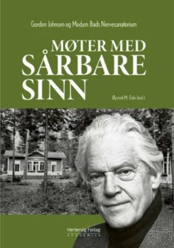 Møter med sårbare sinn av Helen J. Christie, Leif Gunnar Engedal, Per Haave, Einar Johnsen