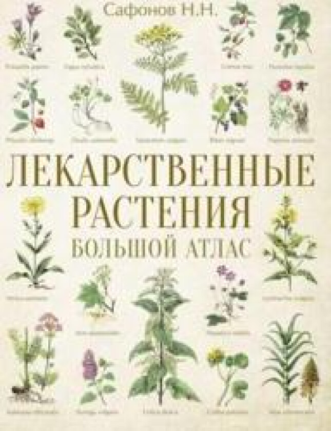 Lekarstvennye rastenija. Bolshoj atlas