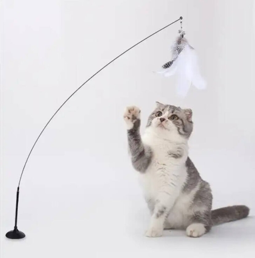 Toy For Cat Fiskestang På Sugekopp 95Cm Zw21