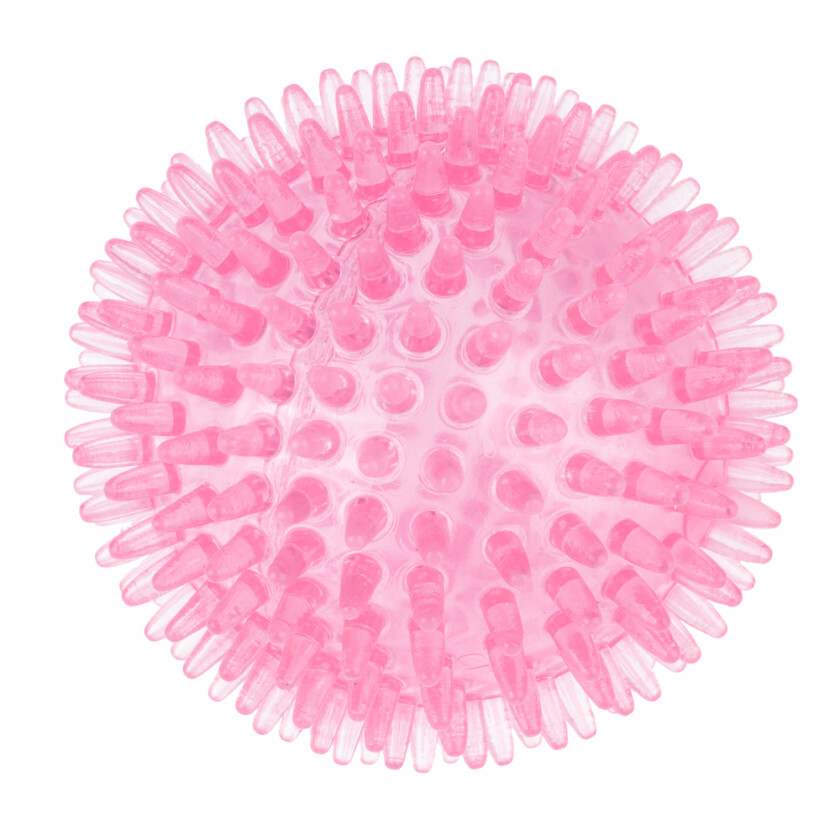 hundeleke piggete ball  - Ø 8,3 cm