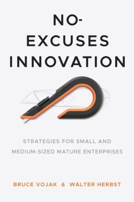 No-Excuses Innovation av Bruce Vojak, Walter Herbst