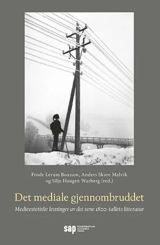 Det mediale gjennombruddet av Frode Boasson, Anders Malvik, Silje Warberg