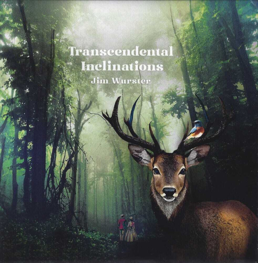 Jim Wurster Transcendental Inclinations LP/Vinyl