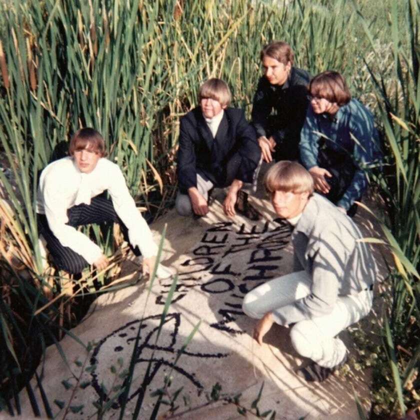 Children Of The Mushroom Children Of The Mushroom CD