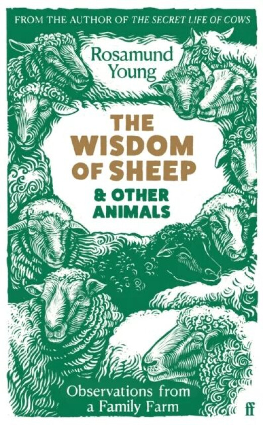 The Wisdom of Sheep & Other Animals av Rosamund Young