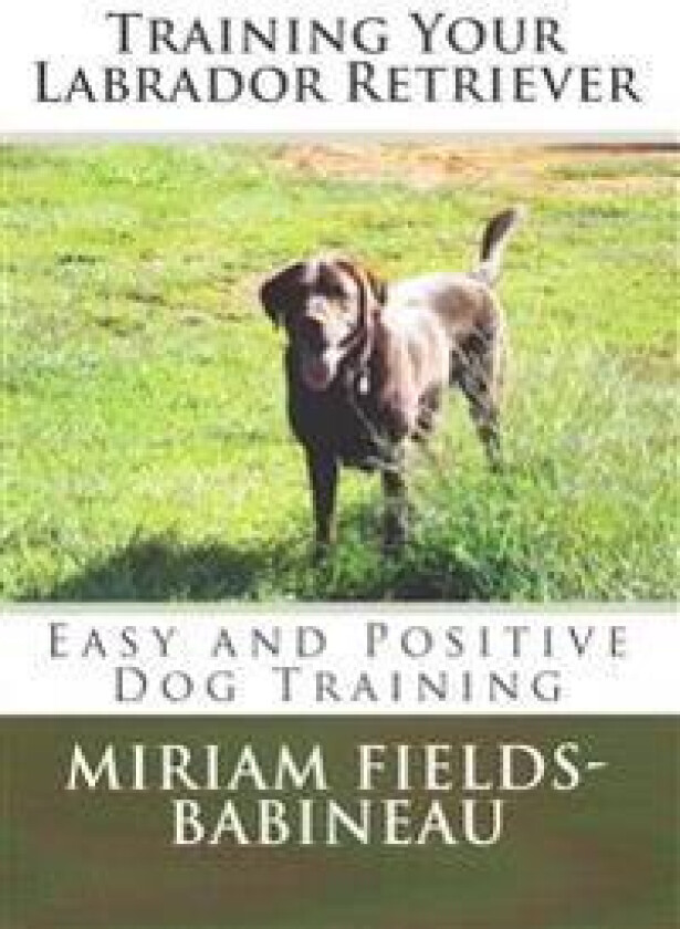 Training Your Labrador Retriever: Easy and Positive Dog Training