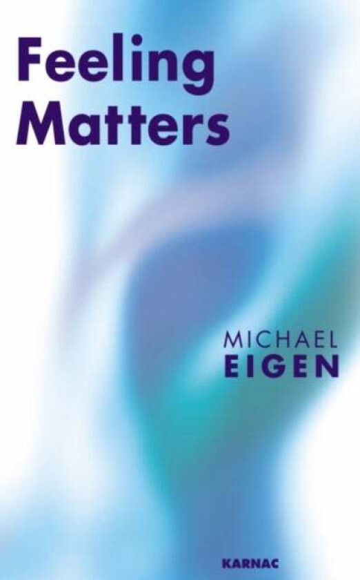 Feeling Matters av Michael Eigen