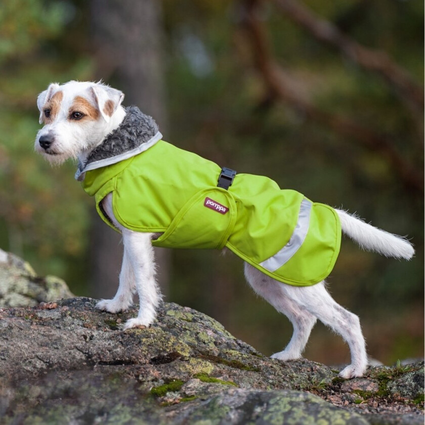 Pomppa Perus Vinterdekken Hund Grøn (44 cm)