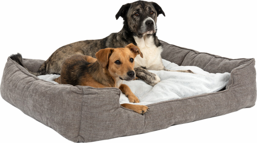 Hundeseng memory foam Austin - L 110 x B 90 x H 24 cm
