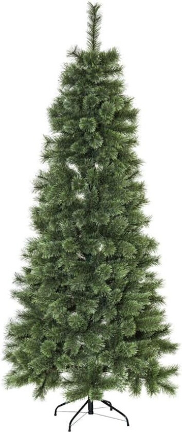 Juletre Star Trading Cembrini