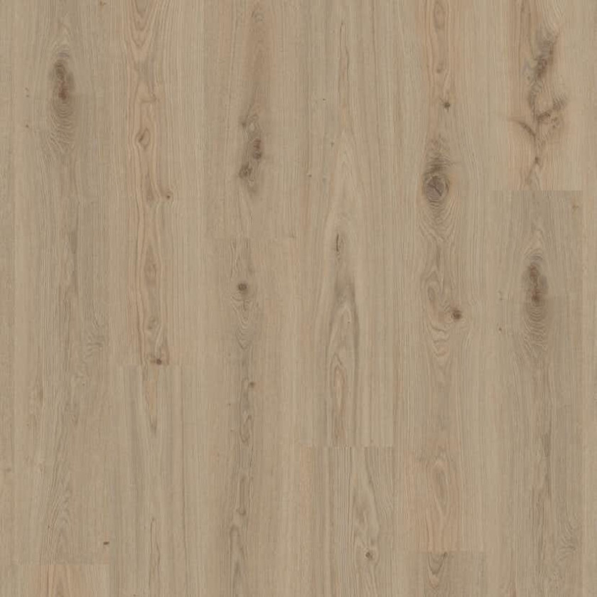 Vinylgulv Tarkett Elegance Rigid 55 Delicate Oak Natural