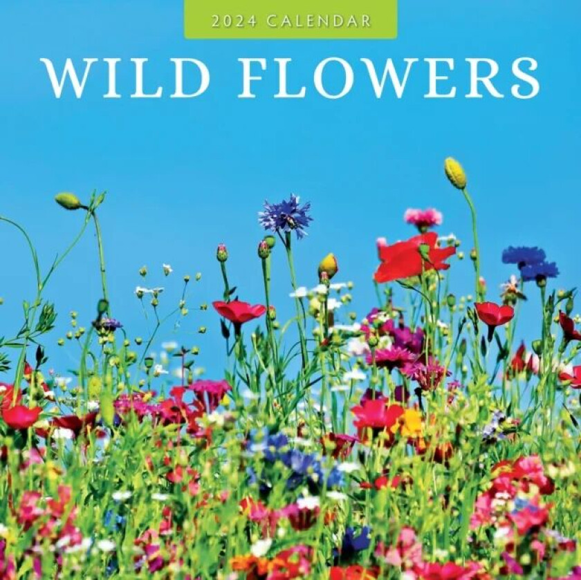Wildflowers 2024 Square Wall Calendar av Red Robin Publishing Ltd.