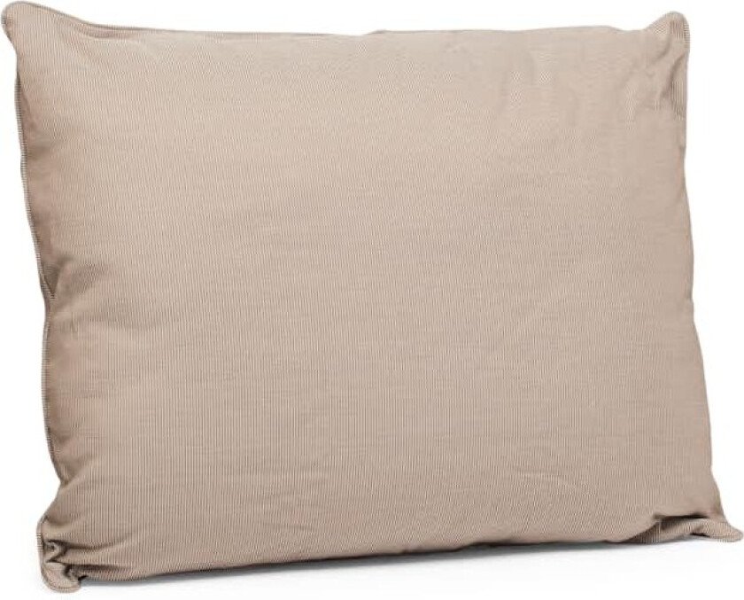 Ryggpute Hillerstorp Taranto/Paris