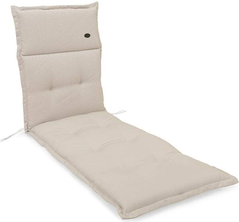 Solsengpute Hillerstorp 8406