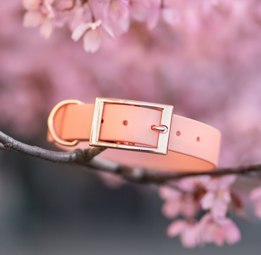 Tyylivoitto Classy Hundehalsband Stor Modell Fresken (S)