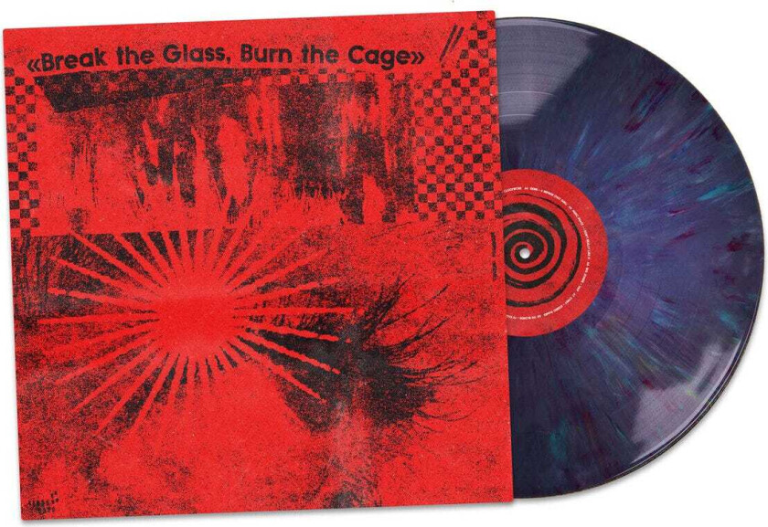 Diverse Indierock, Diverse Punk Break The Glass, Burn The Cage (The Sound of Indie Punk Rock) LP/Vinyl