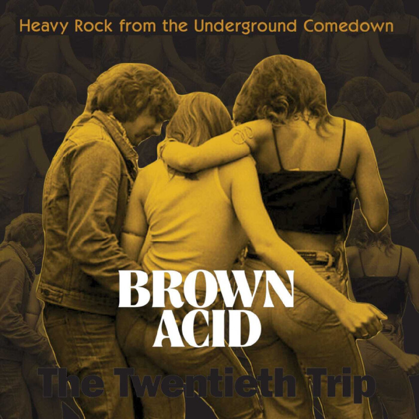Diverse Rock Brown Acid The Twentieth Trip CD