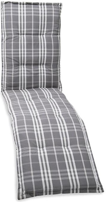 Solsengpute Hillerstorp Monza