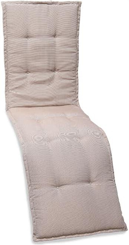 Solsengpute Hillerstorp Monza