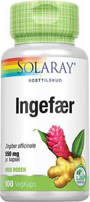 Ingefærrot - 550 mg - 100 Kapslar