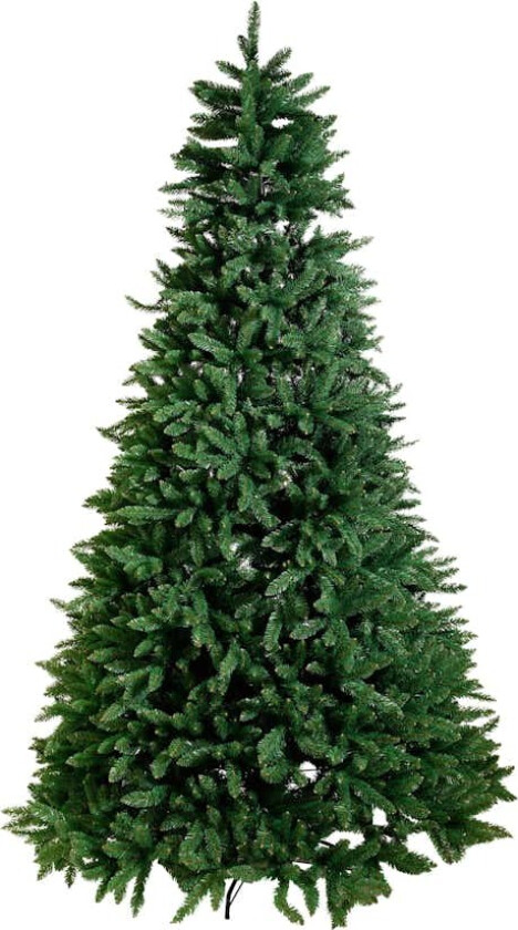 Juletre Star Trading Calgary